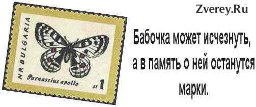 Почтовая марка Аполлон