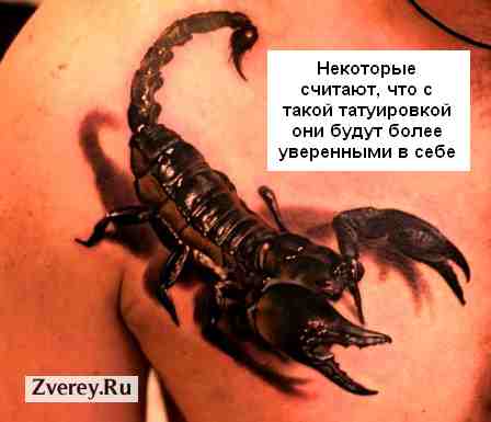 Татуировка на тело со скорпионом