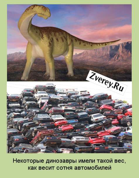 Динозавр и автомобили
