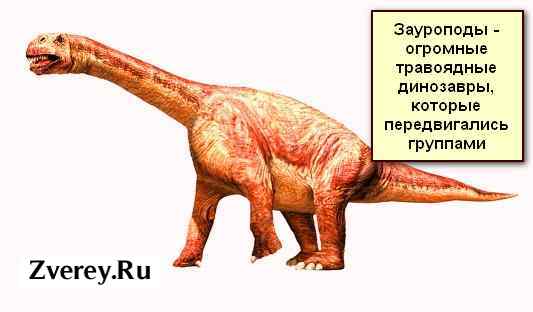 Большой травоядный динозавр