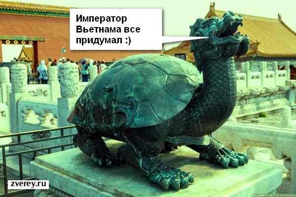 Статуя гигантской черепахи